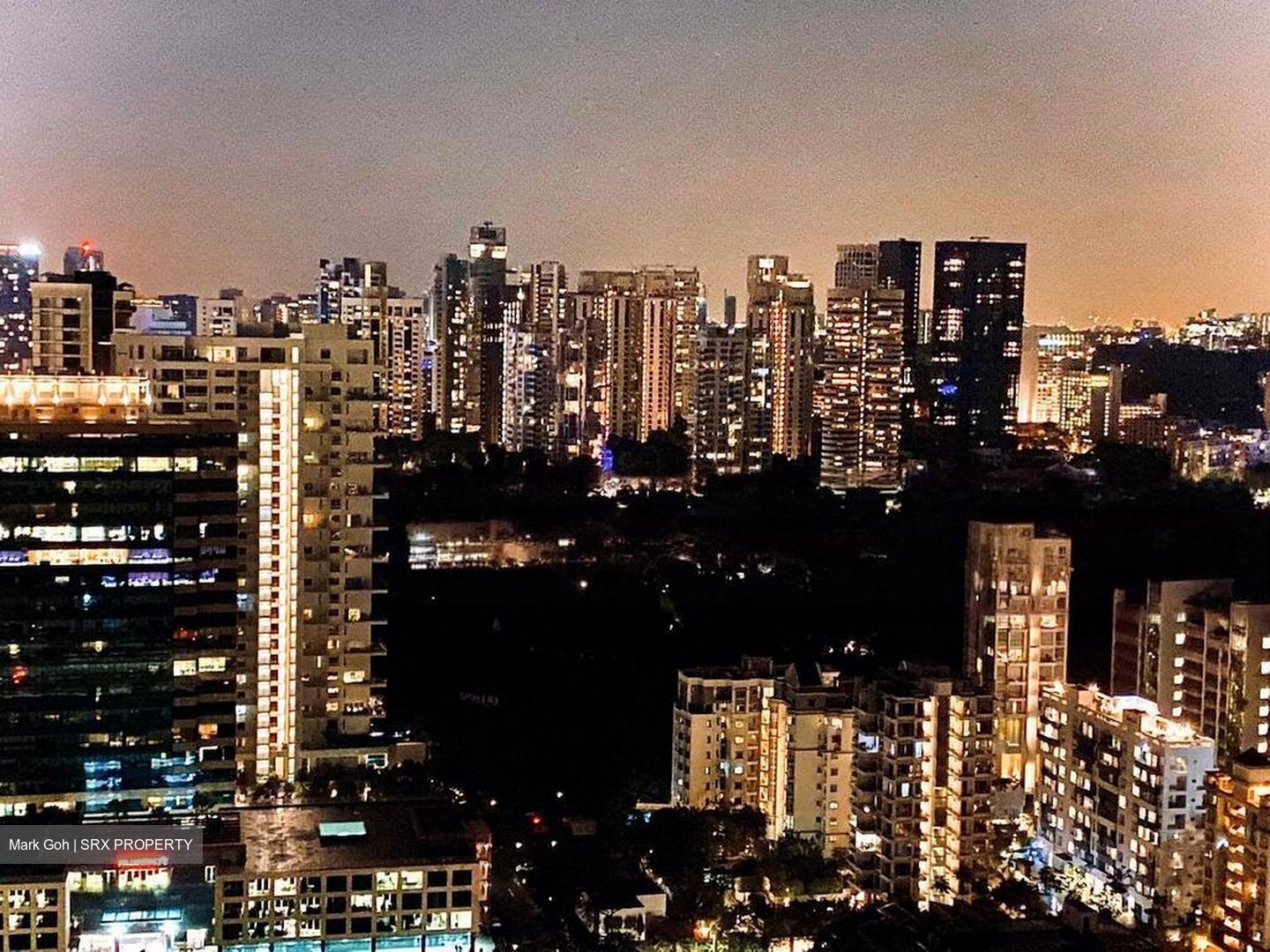 Trilight (D11), Condominium #474499591